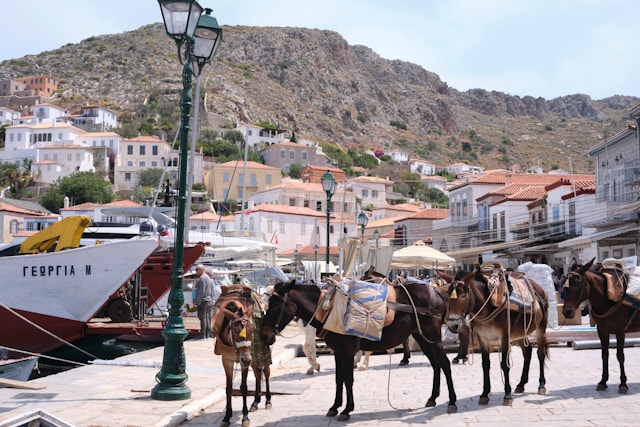 the mules on hydra