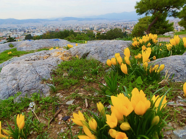 Athens in Spring