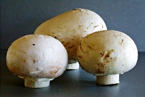 mushrooms