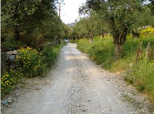 hiking-lesbos