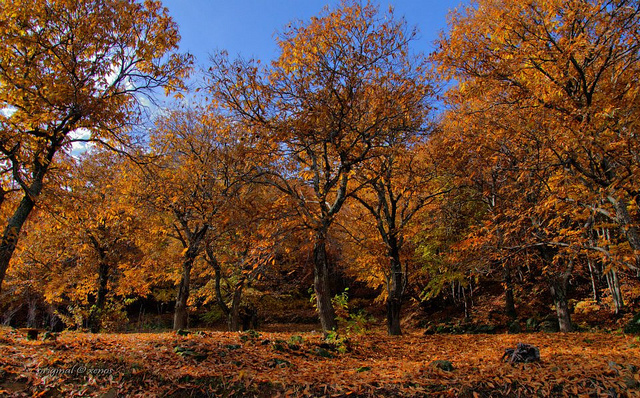 pelion-mountain