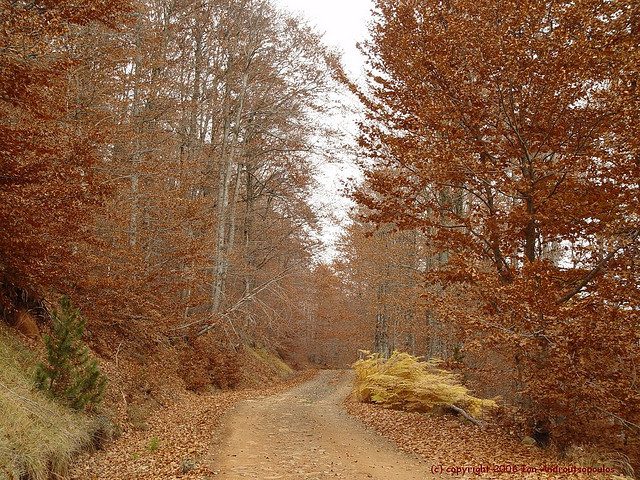 autumn-in-perivoli