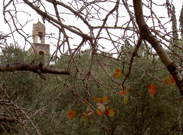 autumn-leaves