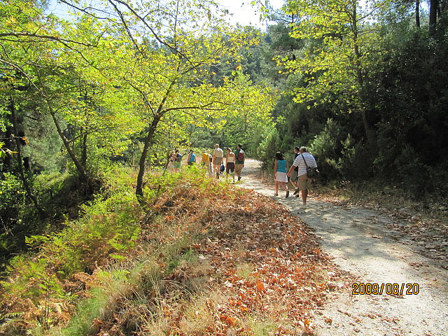 trail-on-thassos